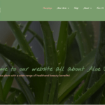 The Aloe Vera Boutique